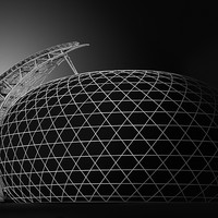 The Nest