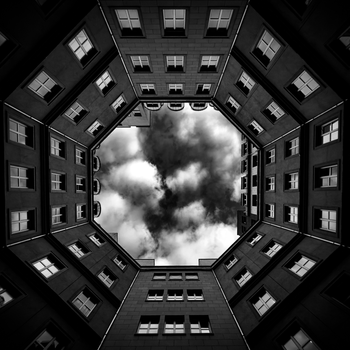 Don't Look Up