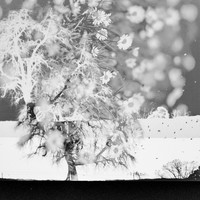 Film Fragments