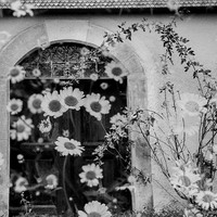 Film Fragments