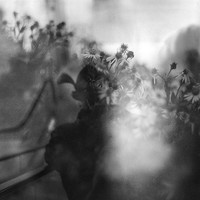 Film Fragments