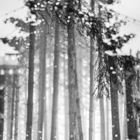 Film Fragments