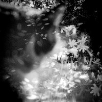 Film Fragments