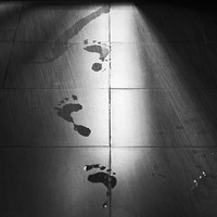 To Mourn My Reflection