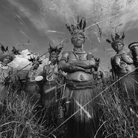Women of the Highlands, Papua New Guinea