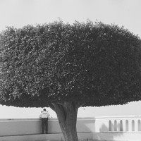 Dias Tras Dias 