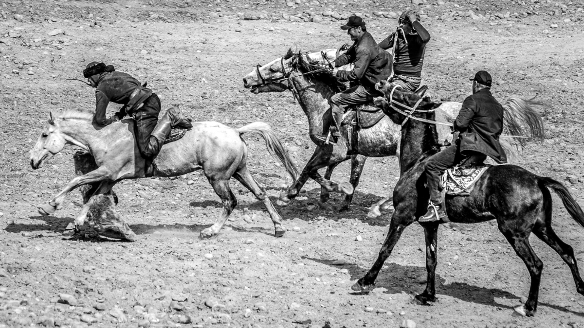Buzkashi - Men's World