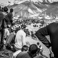 Buzkashi - Men's World