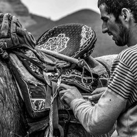 Buzkashi - Men's World