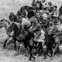 Buzkashi - Men's World