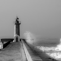 Waves and Shadows / Monochrome Sea Stories
