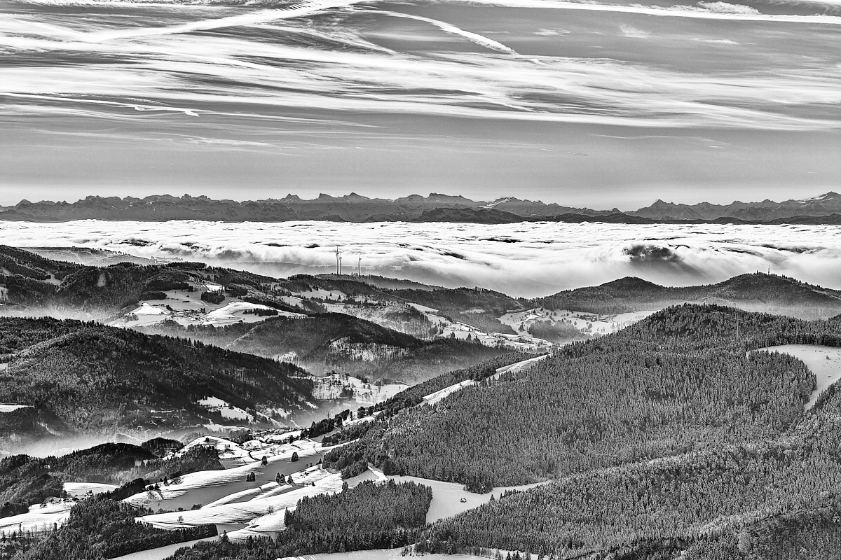 Winter Fog