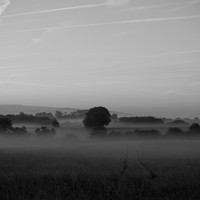 Veil of Fog