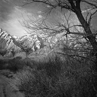 Contemplative Landscapes: Death Valley, California