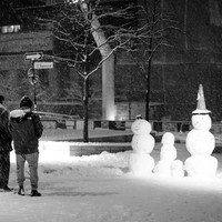 Snowlights