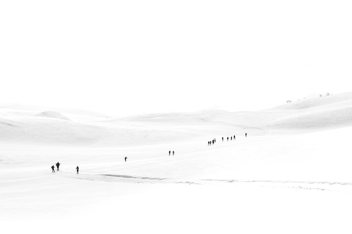 Skiers at Haukelifjell