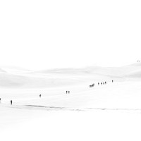 Skiers at Haukelifjell