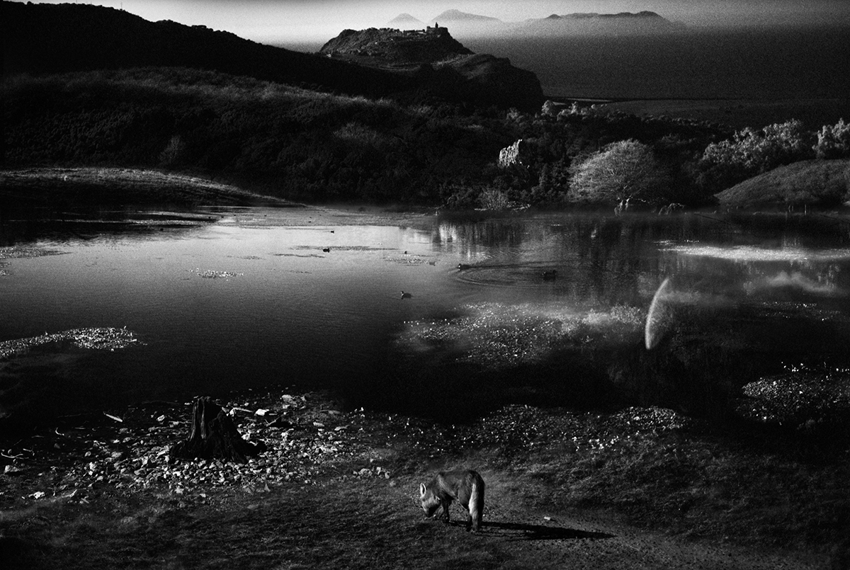 Rilevamento di Campo n.1
