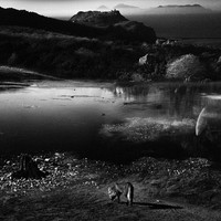 Rilevamento di Campo n.1