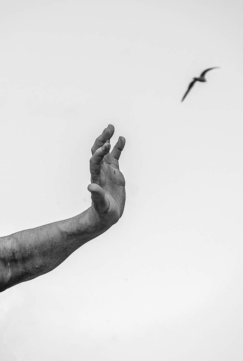 Freedom