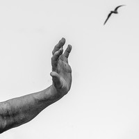 Freedom