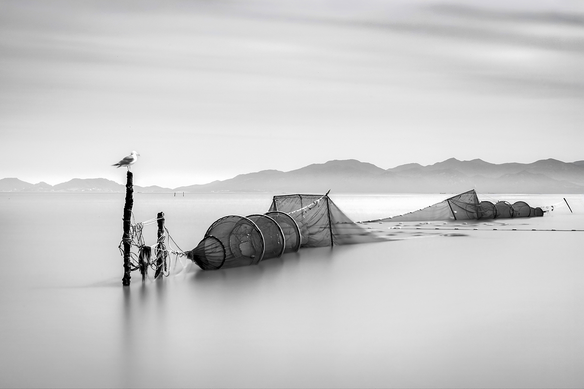 Fish net