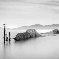 Fish net