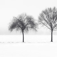 Winter Interval