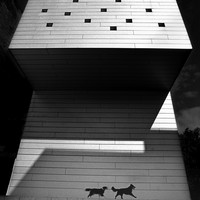 Des structures et des hommes