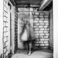 Phantome/fantômes/phantoms