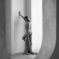 Darina
