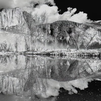 Nature Reflected