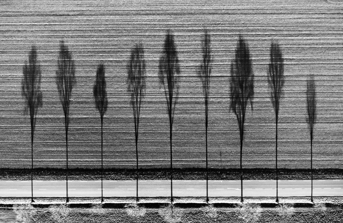 La Partition du Silence