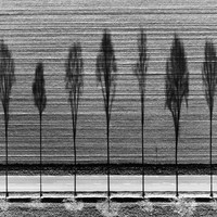 La Partition du Silence