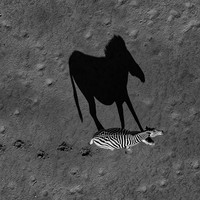 Born Black and White