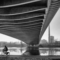 The River and the Bridge and the Man