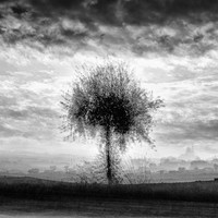 Multiexposure