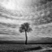 Multiexposure