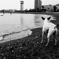 winter beach