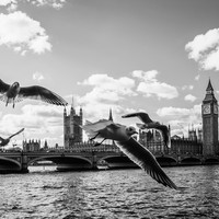 Big Ben fly 