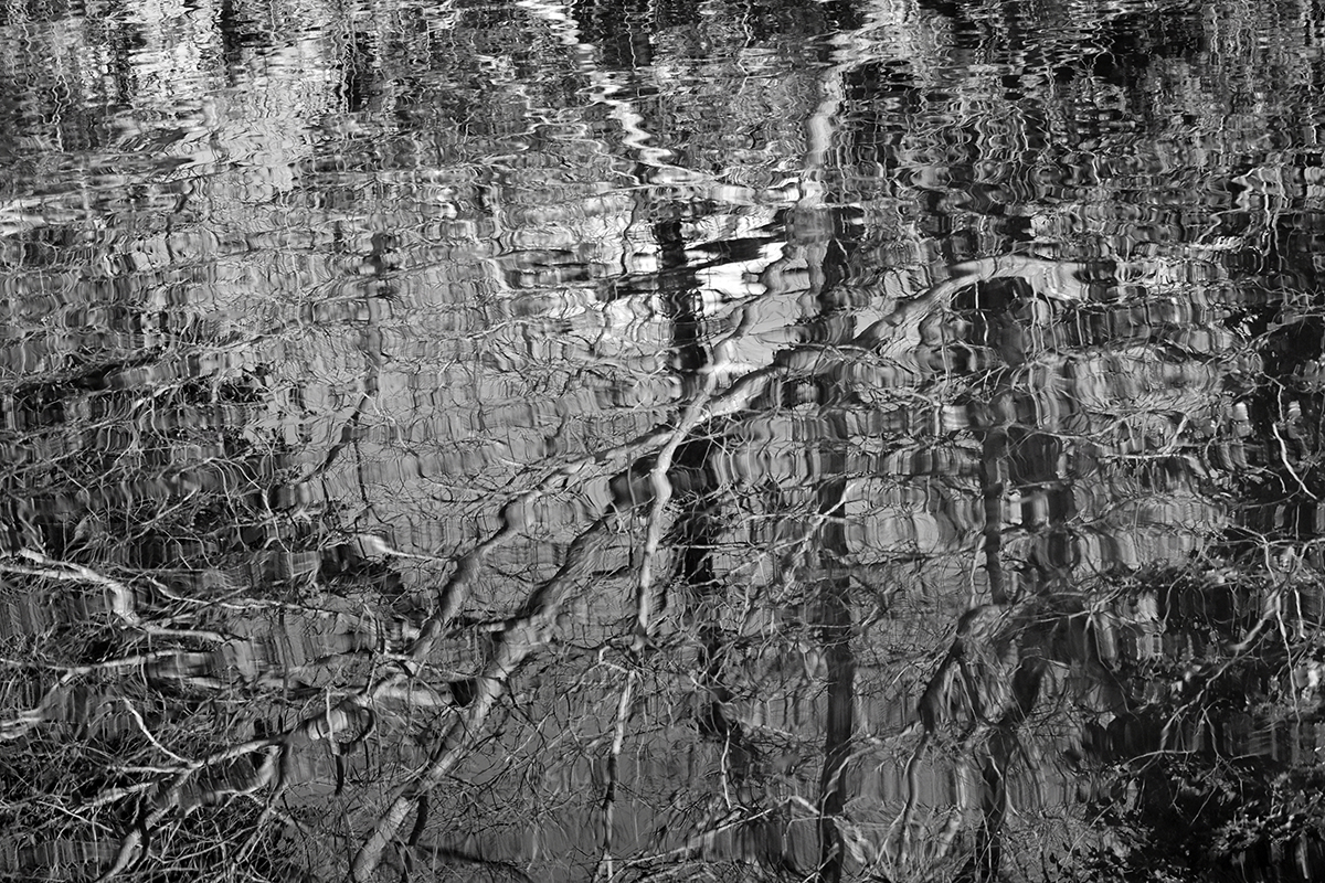 The puzzle of water