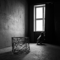 The Cage