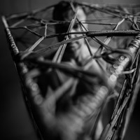 The Cage