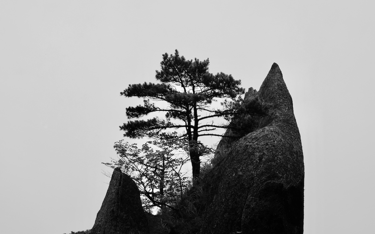 solitude