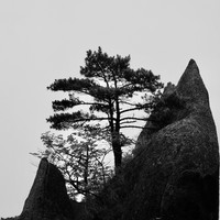 solitude