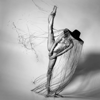 Threads of Freedom