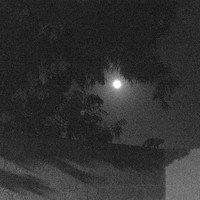Dark Is The Night