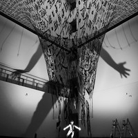 The Giant Shadow of the Human World