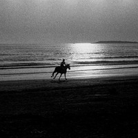 ​The seashore — Where the world softens