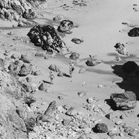 ​The seashore — Where the world softens